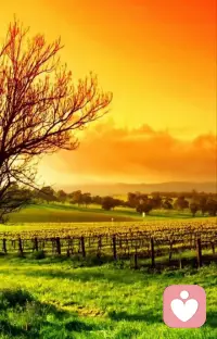 【一句话心理学】你简单，世界就是童话，心复杂，世界就是迷宫！