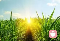 在“人生”的旅程中，比记忆更重要的是忘却； 忘记烦恼，快乐自然越来越多； 心理学有句格言：“脑子的作用不仅仅是帮助我们记忆，更是帮助我们忘却。” 早安！