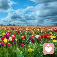 有风有雨是常态，风雨无阻是心态。早安！