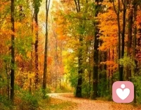 時間從來不語，卻回答了所有的問題?，歲月從來不言，卻見證了所有的努力。配圖