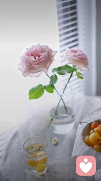 学会忽略，是通向内在平静的一条大路，因为唯有心灵的安静，方能铸就人性的优雅。