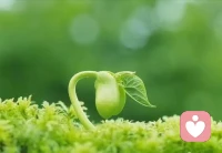 一句话心理学:必须面对自己不能承受的东西——然后起个名字叫成长。