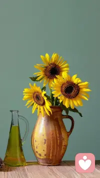 歲月是一本書，總有一頁特殊的篇章與我們一路前行；生活的每一天都是限量版，精心的彩排，快樂的生活；感恩所有的遇見！配圖