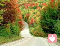 个人成长篇:成长就是你主观世界遇到客观世界之间的那条沟，你掉进去了，叫挫折，爬出来了，叫成长。