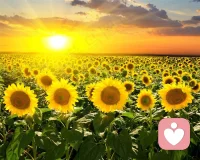 人生是无数次的自我托举。那些“需要靠自己”的时刻，是生命的常态。学会托举自己，从微小而确定的行动开始。为自己遮风挡雨，与更强大的自己相遇。配图