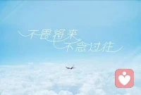 真正的放下是不念，不往，不畏将来，不担心尚未发生的事；专注现在，才是一切成功的源泉。配图