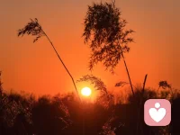 有人说：“人类的所有想法和行为，不是出于爱，便是出于怕。人类的动机只有这两种，一切其他观念无非是这两种的派生物，只是形式有所区别而已。”配图