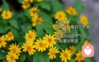 如果梦想有捷径的话，那么这条路的名字，一定叫坚持。配图