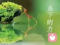 昨日不可追，未来不可控，唯有当下握在自己手中。