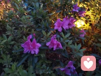 今天加入給力心理平臺，感覺真的很給力，平臺的心理課堂值得學習，平臺的機制靈活親民。等待平臺審核，無比期待傾聽你的故事，真誠希望我能成為點亮你的那盞燈，陪伴你走向光明??配圖