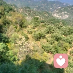 華姐，我愛你的頭像