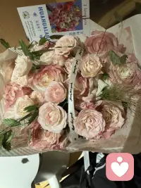 我也很好奇捏 這個(gè)冬天怎么過捏
呼呼大睡以外 還會(huì)有什么溫暖的記憶配圖