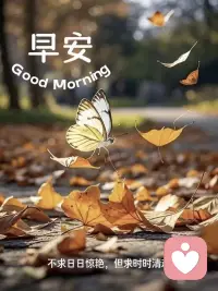 你給生活什么姿態，生活就還你什么姿態，用最美的姿態過最好的生活，生活很好記得微笑。早上好鴨！配圖