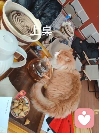 年龄越大 越不妥协 坚持做自己，生活是自己的 感受是自己的，体验是自己的，不用太在意别人怎么想