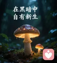 在心里，
安放兩種力量。

一種，是當(dāng)幸福來(lái)敲門時(shí)，
能敞開懷抱說(shuō)：
“我愿意”。 

這是，
去愛這個(gè)世界的能力。

一種，是當(dāng)難處找上門時(shí)，
能站穩(wěn)腳跟說(shuō)：
“我可以”。 

這是，
去承擔(dān)這個(gè)世界的能力。

“愿意”，是你的柔軟。 
“可以”，是你的堅(jiān)硬。

有了這兩樣，
不管生活給的是什么，
都接得住。配圖
