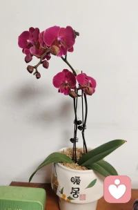 痛苦的本质不是失去，
是你认为事情不该如此发展的认知断层