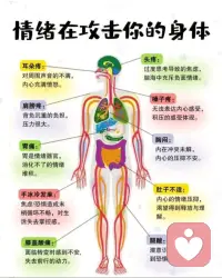 婚姻内耗、情感纠结、原生家庭、职场疲惫、孤独迷茫，都可以倾诉。我不替你做决定，只稳稳接住你的情绪，陪你理清思路。心事有处安放，情绪才有出口