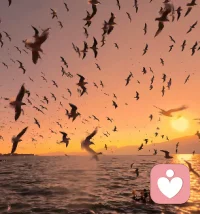 向陽而生，做個溫暖的人，世界依然美好，配圖