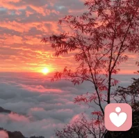 錯過了落日余暉，還可以靜待滿天繁星。配圖