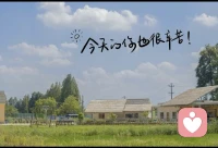 每天送自己一句話??配圖