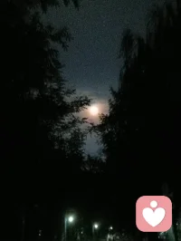 別讓情緒，藏成心里的褶皺
 
你是不是也常說“沒事”？
把委屈、焦慮疊在心里，久了就忘了它原本該舒展的樣子。
 
情緒從不需要“硬扛”。
允許自己難過，允許暫時迷茫，給心一點松勁的空間。
 
聽聽內心的聲音吧。
看見它，接納它，就是和自己和解的開始。
那些褶皺，終會在溫柔里慢慢熨平。配圖