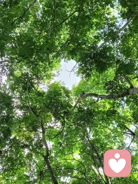 別總把情緒藏在“沒事”的背后，難過時允許自己停一停。
內心的小褶皺，會在慢慢梳理中變平整，你值得被自己溫柔對待。配圖