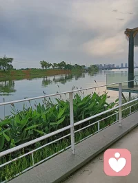 心理不是“想不開”的借口，而是需要被看見的信號。
像照顧身體一樣關注情緒，及時調整，才能讓生活始終保持向上的節奏。配圖