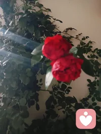 你总是习惯性地照顾别人，却常常忘了对自己好一点。你会安慰失意的朋友，会包容犯错的同事，却唯独对自己格外严格。其实，你和你在乎的人一样，值得被温柔以待。从今天起，对自己多一点耐心，少一点指责；多一点偏爱，少一点将就。你值得拥有那些你曾给过别人的温暖，因为你本身，就足够值得。