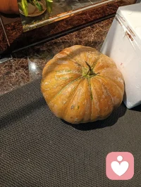 你不必总是优先考虑别人的感受，不必为了迎合他人而隐藏自己的需求，更不必因为“怕麻烦别人”而独自扛下所有。懂事是你的善良，但不是用来束缚自己的枷锁。你可以大胆说出自己的想法，坦然接受别人的帮助，也可以偶尔“任性”一点，把自己的感受放在第一位。真正的被爱，从来不需要你用“委屈自己”去交换。