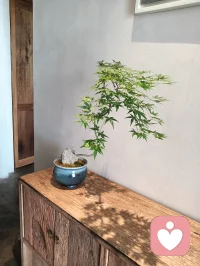 好的感情，让人锦上添花；
糟的感情，让人徒增内耗；
 
有人这么说过。朋友闲聊时问：
不好不坏的感情呢？
 
有人答道：
不好不坏的感情，就像日常过日子，尝遍柴米油盐的滋味。
 
很多人会说：
大多数人的感情，都是不好不坏的。
 
回想自己的感情经历，好像是这么回事，又好像不是。
 
我不觉得自己的感情是不好不坏的，而是：
有时候甜如蜜糖，有时候累如负重，有时候在柴米油盐里安稳前行。
 
但这三个“有时候”，没法凑一起算成不好不坏。
 
又琢磨：
一个人没感情牵绊时，该怎么活？
多打磨自己，让内心强大、脚步坚定。遇良人，便互为支撑；没良人，独自也能活得精彩。