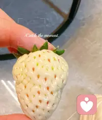 播种就会有收获
即便刚开始没有养好
也为新的播种积累经验
时间会给出答案
——《爱人如养花》爱人爱己配图