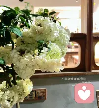 爱人爱已
少于人纠缠多看大自然
爱自己的细节藏在每顿为自己准备的饭菜里
养出强健的体魄才能拥有良好的心态与精神配图