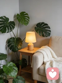 专业倾听师｜耐心陪伴｜用心共情
有多年护理与心理倾听经验，温柔、安静、不评判。
无论你是情绪低落、压力大、失眠焦虑、感情困惑，
我都在这里安静听你说，陪你慢慢梳理情绪。
不打断、不指责、不敷衍，给你安全又温暖的倾诉空间。配图