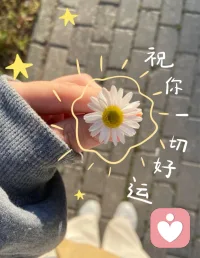 世界很吵，没关系。
我在这里，安静听你说。
不评判，不催促，只做你情绪的落脚点。配图