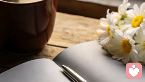 好好生活，从好好安顿自己开始