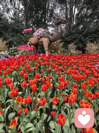 倾听，是最温柔的力量。
不评判、不打断、不说教，
只是认真地、专注地，听见你的心声。
如果你累了、烦了、撑不住了，
来找我说说吧，我一直都在。
✨配图