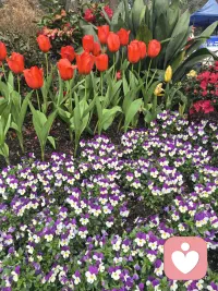 做倾听师的日子，每天都在接住不同的情绪。
有人迷茫，有人委屈，有人在深夜里找不到出口。
我能做的，就是安静坐着，认真听，慢慢陪。
不评判、不指责、不催促，
只给一份被看见、被理解、被接纳的温暖。
人心很软，也很珍贵，值得被好好对待。
今天也继续，做那个稳稳接住你的人。
愿每一颗疲惫的心，都能被温柔照亮。配图