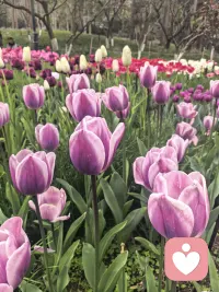 生活慢慢走，心慢慢静，
把烦恼清零，把快乐置顶。
今天也要好好爱自己✨配图