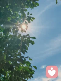 不用急着变好，
不用逼自己完美。
你现在的样子，
已经足够值得被爱、被倾听、被珍惜。
慢慢来，我陪你✨配图