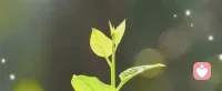 原生家庭不是你的宿命，只是你人生的起点。那些刻在性格里的影响，都可以被看见、被改写。
#原生家庭 #心理成长 #自我救赎配图