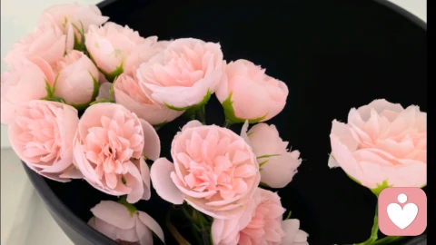 那些无人问津的日子，都是为你更好的铺垫