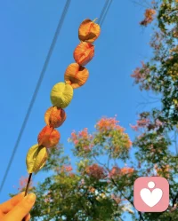 新的串串??配圖
