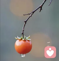 一生一世一双人
