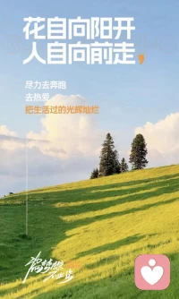 路要自己走配圖