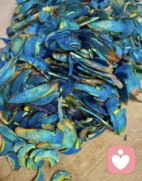 認(rèn)識這是什么嗎