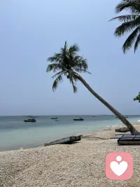 其實人生不論怎么選都會有遺憾，永遠不要去美化那條你沒選的路。人生如棋，落子無悔，相信前方終會有星辰大海。配圖