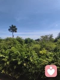 “有所求而未得”，恰恰才是幸福不可或缺的一部分。