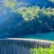 真伊