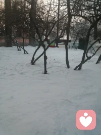 治愈不是忘記，而是學會帶著傷痕跳舞。配圖