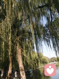 健康關系需彼此滋養而非消耗；尊重自己是獲得他人尊重的前提。??配圖